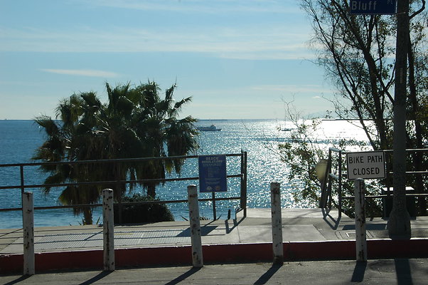 DSC 0019