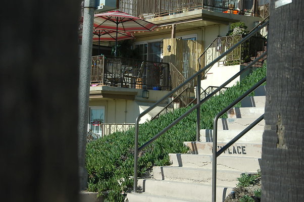 DSC 0007