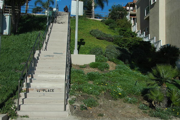 DSC 0001