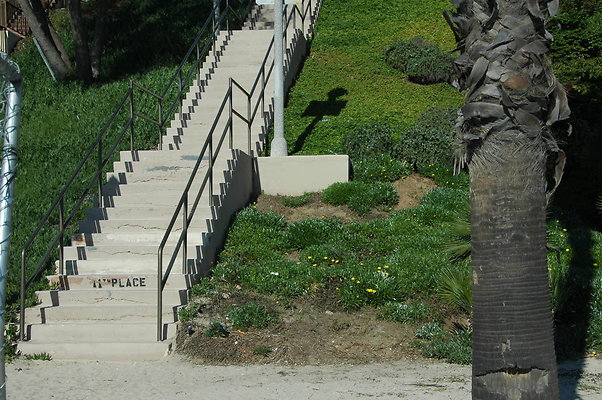 DSC 0005