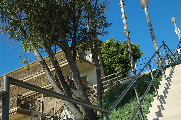 DSC 0014