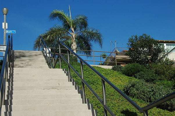 DSC 0015