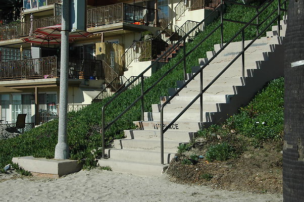 DSC 0008