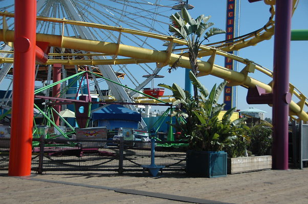 DSC 0007