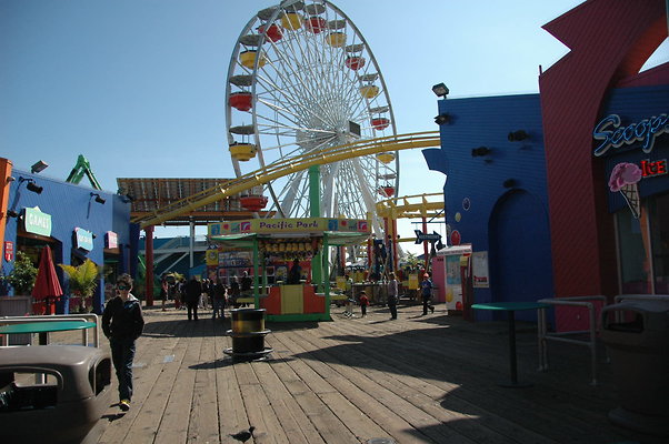 DSC 0029
