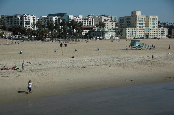 DSC 0020