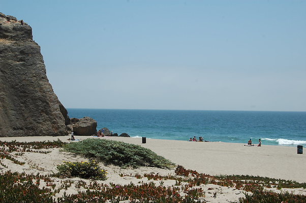 DSC 0002