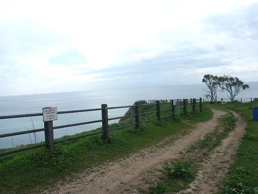 Image00005