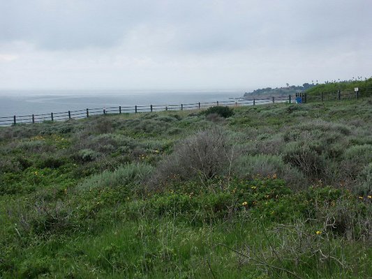 Image00017