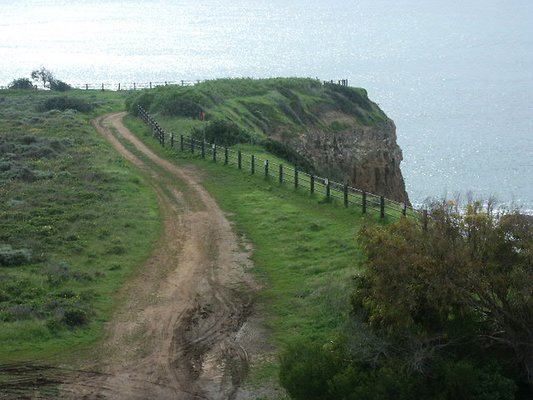 Image00003