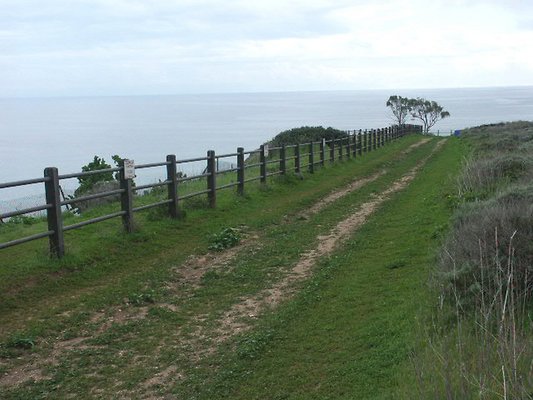 Image00006