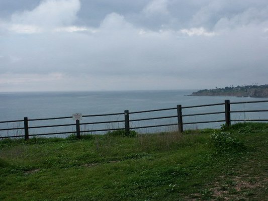 Image00009