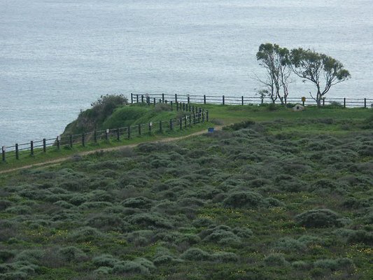 Image00002