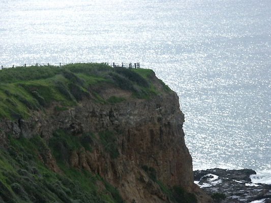 Image00007