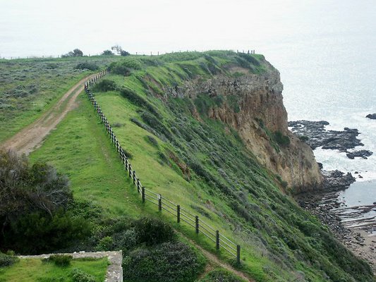 Portugese Pt
