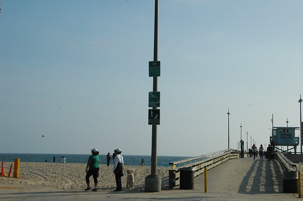 Venice Pier