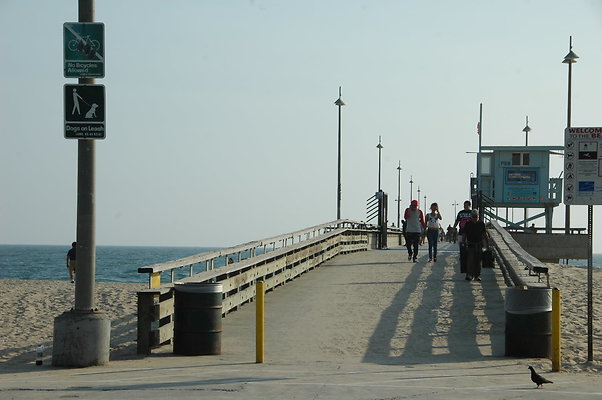 DSC 0003