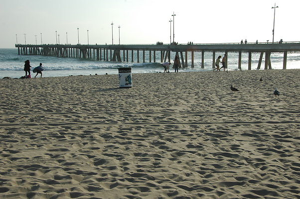 DSC 0032