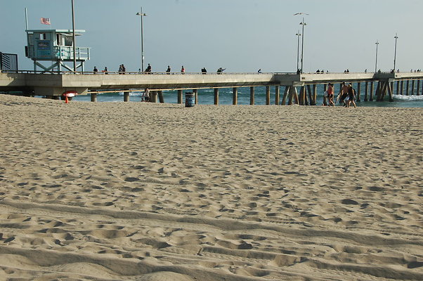 DSC 0013
