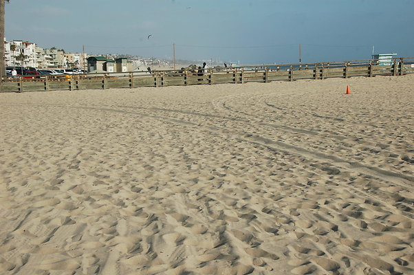 DSC 0011