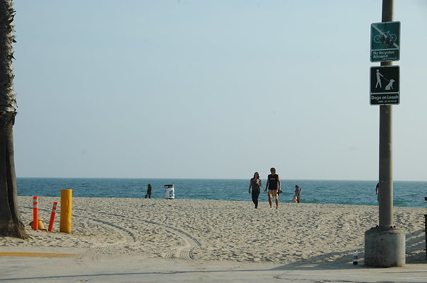 DSC 0002