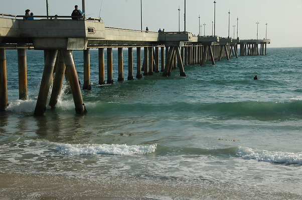 DSC 0020