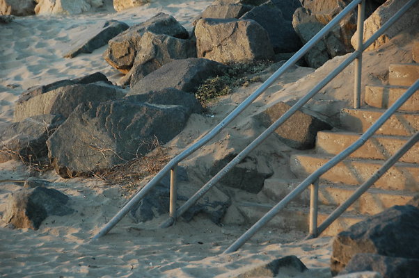 DSC 0009