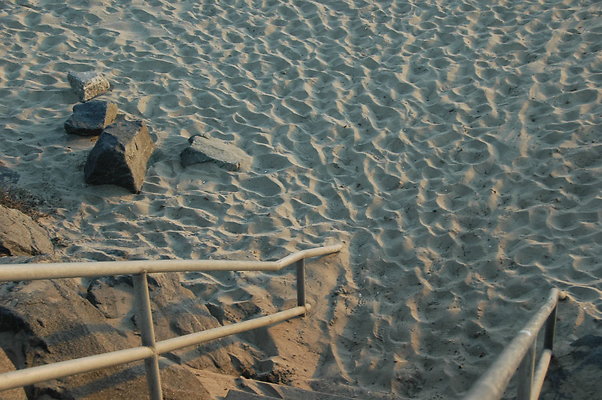 DSC 0005