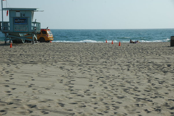 DSC 0010