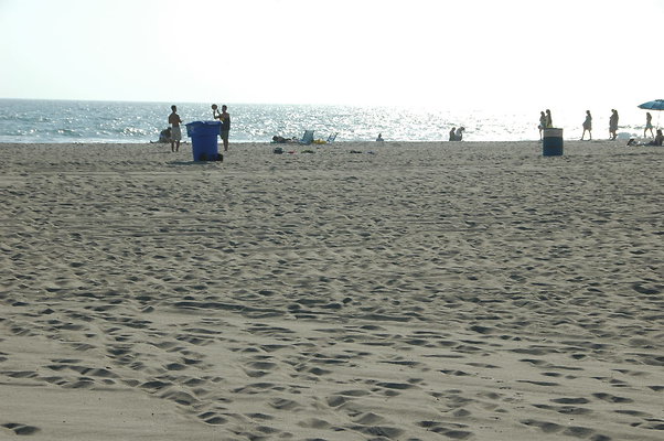 DSC 0012