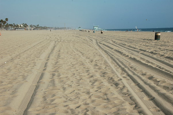 DSC 0008