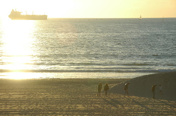 DSC 0039