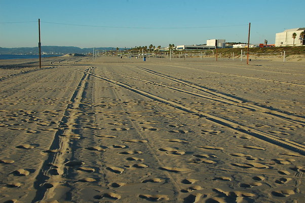 DSC 0020