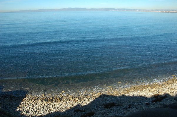 DSC 0098