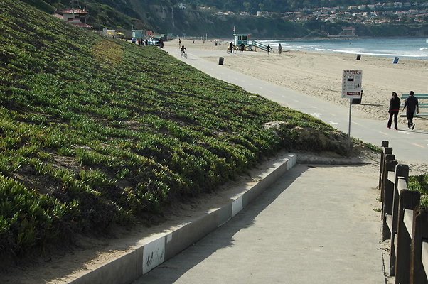 DSC 0027