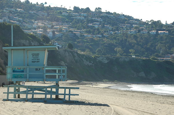 DSC 0095