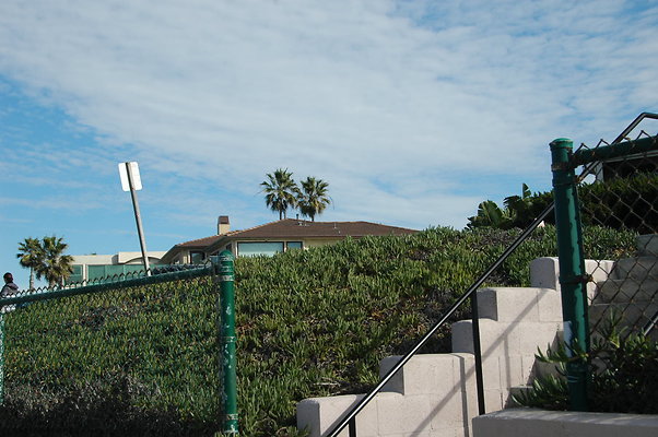 DSC 0062