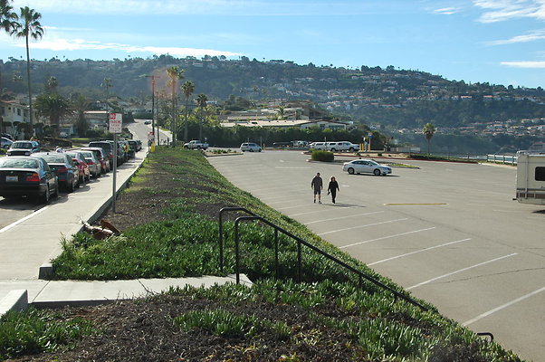 DSC 0051