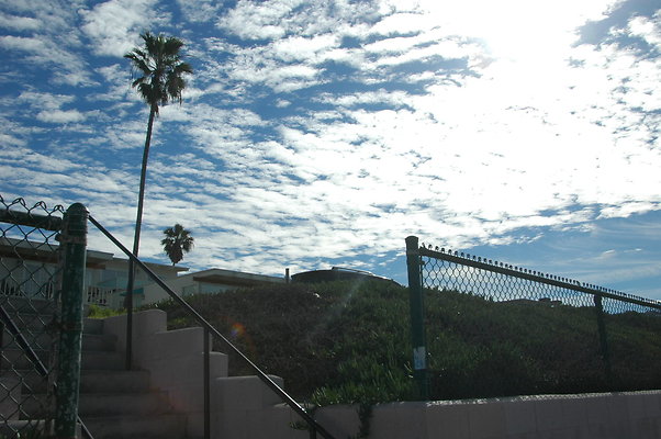 DSC 0063