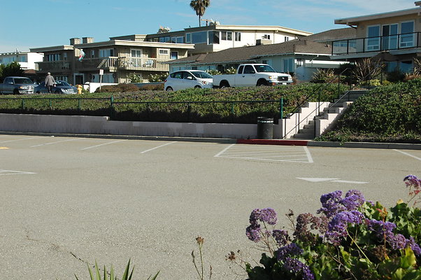 DSC 0071