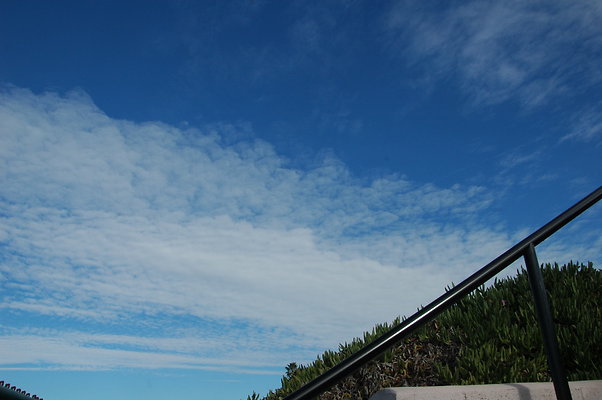 DSC 0059