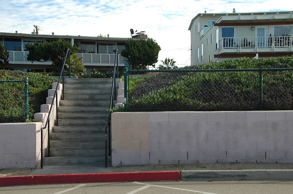 DSC 0061