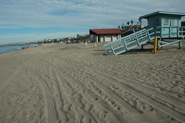 DSC 0018