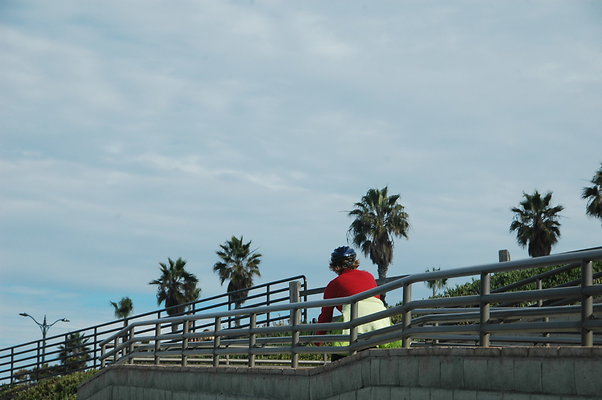 DSC 0008