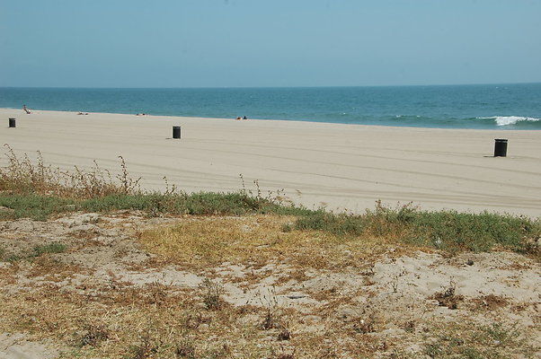 DSC 0049