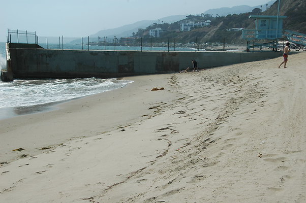 DSC 0031