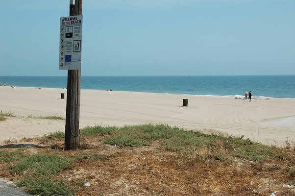 DSC 0046