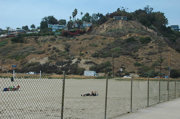 DSC 0020