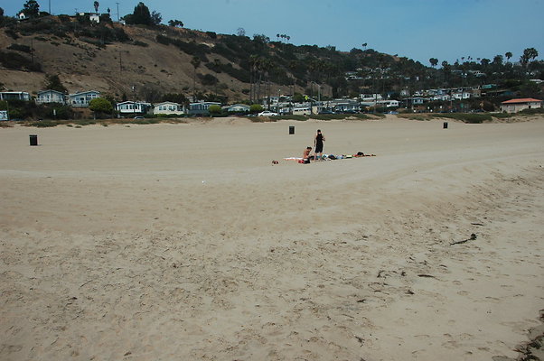 DSC 0024