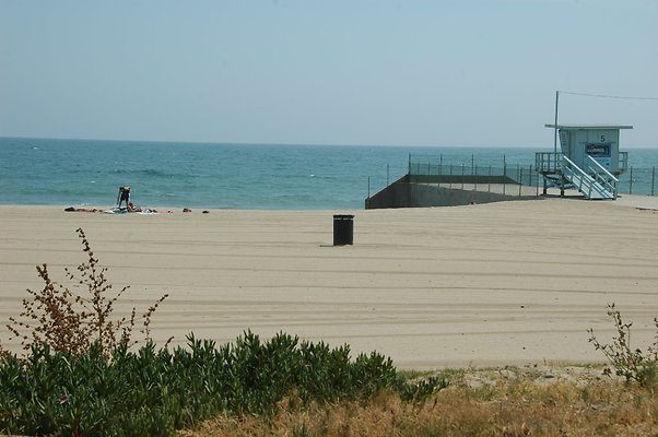 DSC 0042
